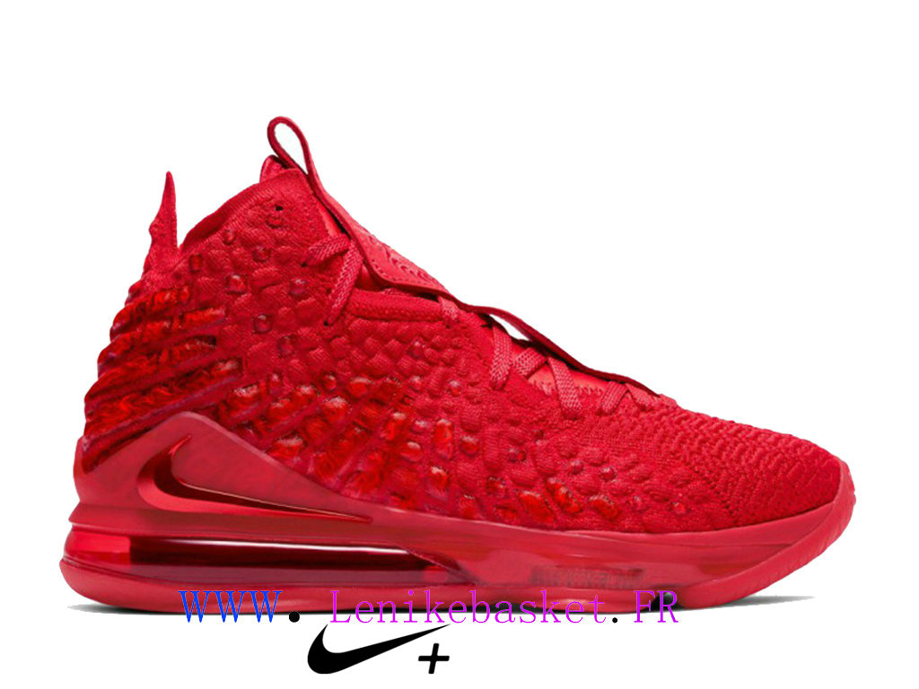 chaussure nike lebron